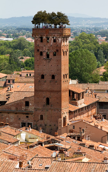Torre Guinigi con giardino sospeso a Lucca